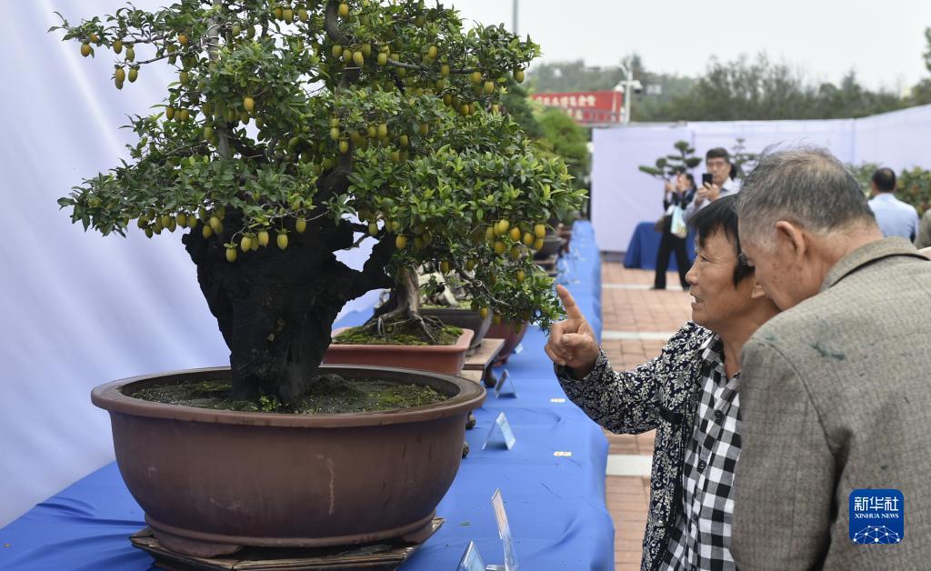 在线保皇