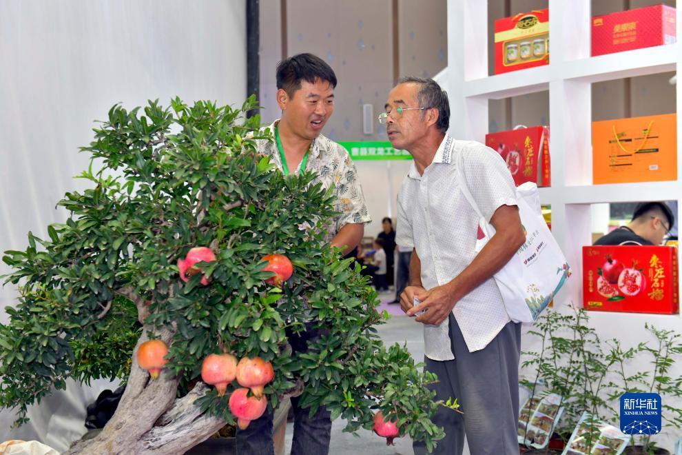 捕鱼送分 最新